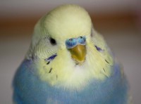 /album/fotogalerij-/img-5060-lovey-jpg/